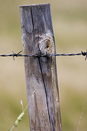 image 019li 0f 20
