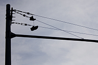 image 002vi 0f 4